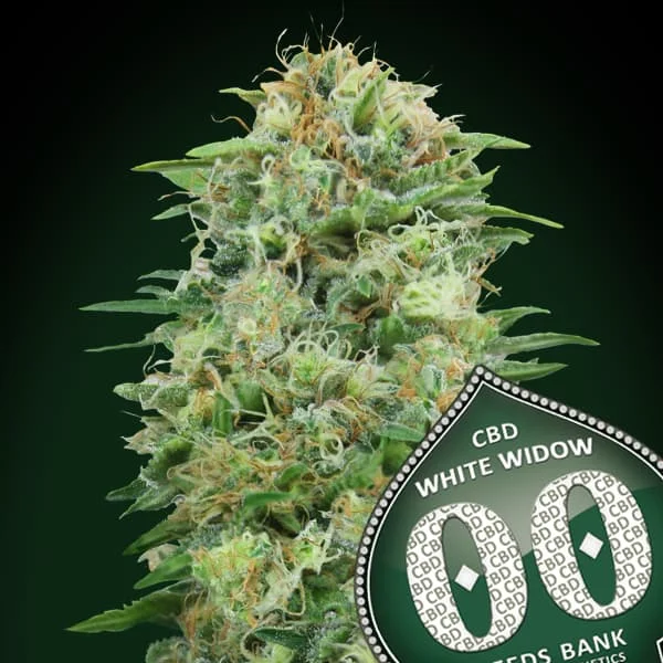 saltonverde2861520