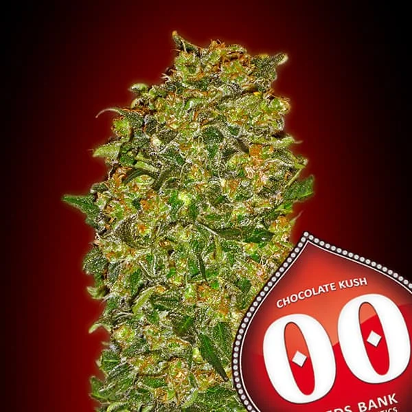 saltonverde2861541