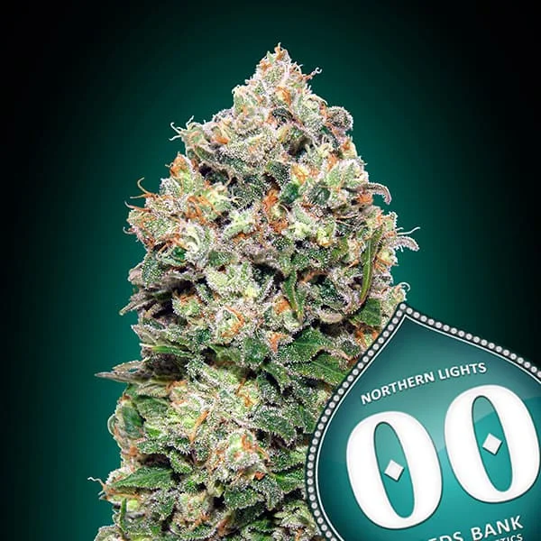 saltonverde2861577
