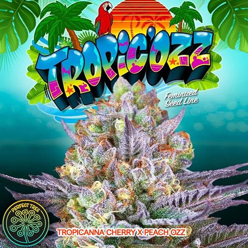 saltonverde2862867