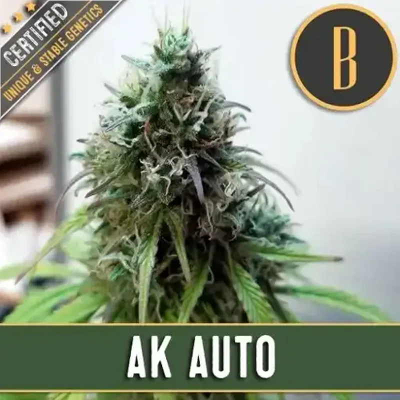 saltonverde2865609