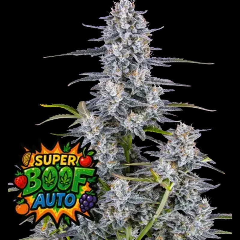 saltonverde2866653