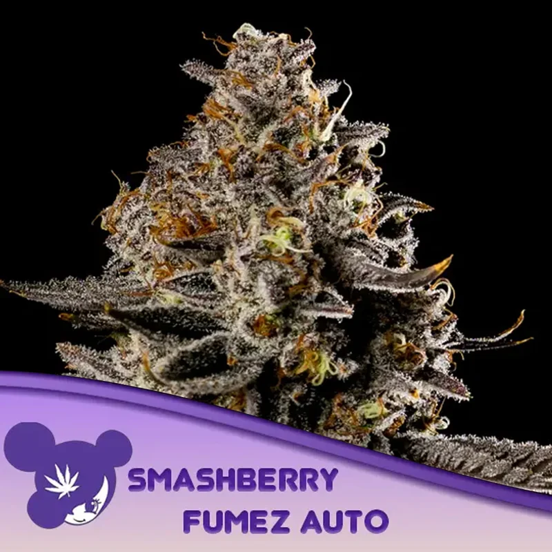 saltonverde2873246