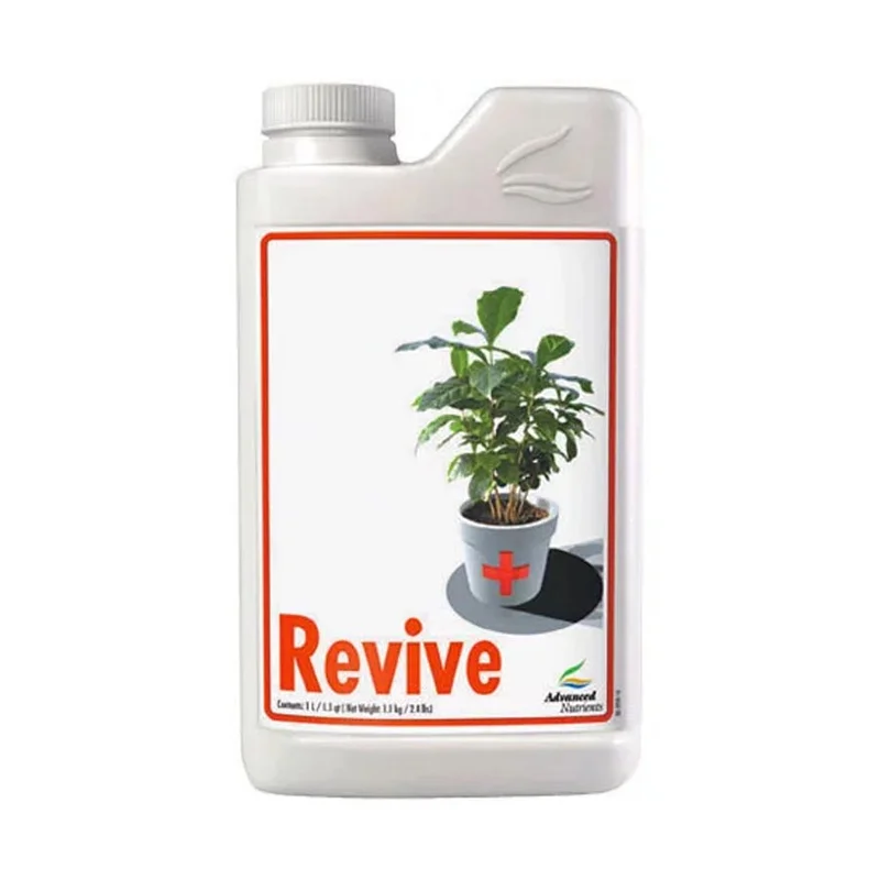 saltonverde2884474
