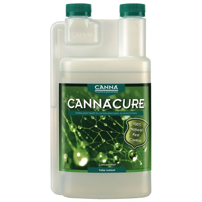saltonverde2886663