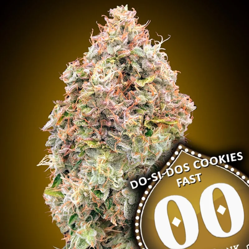 saltonverde2905854