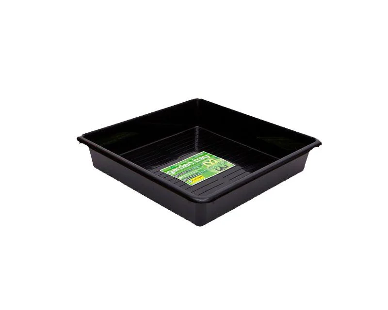saltonverde2914984