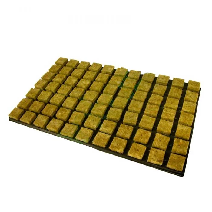 saltonverde2915075