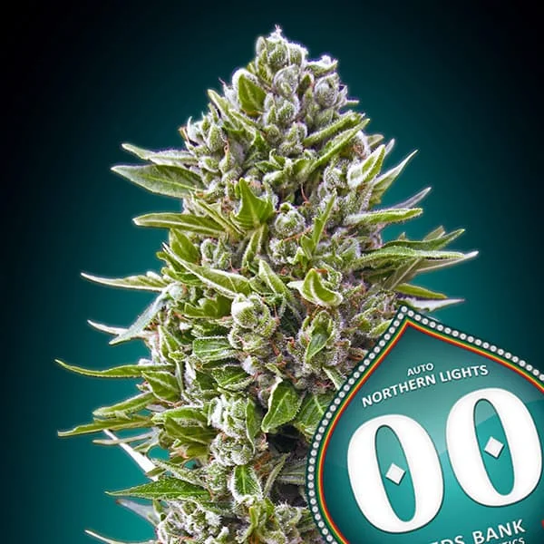 saltonverde2922544