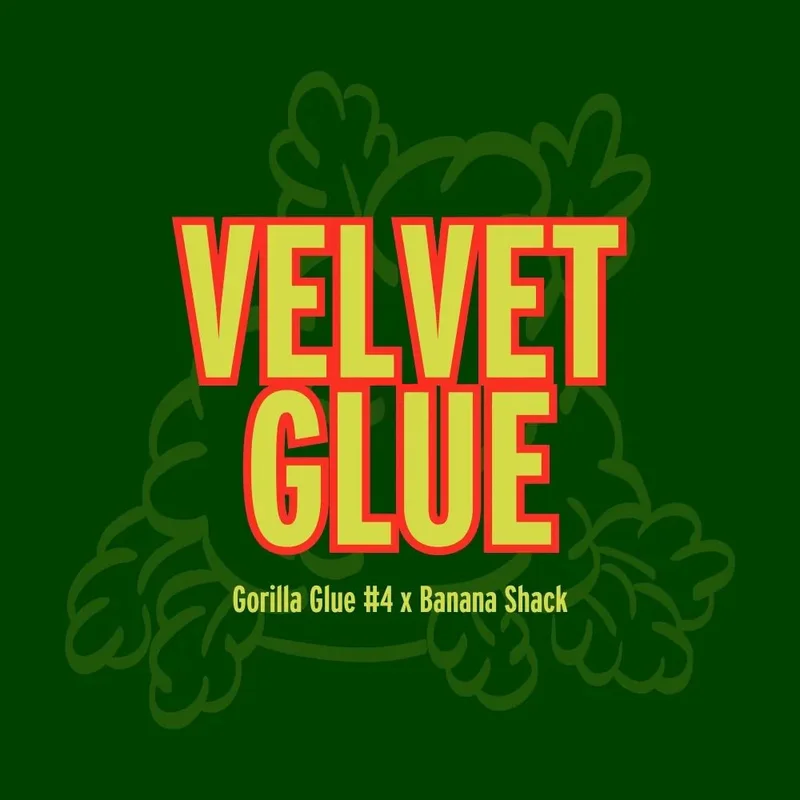 saltonverde2924438