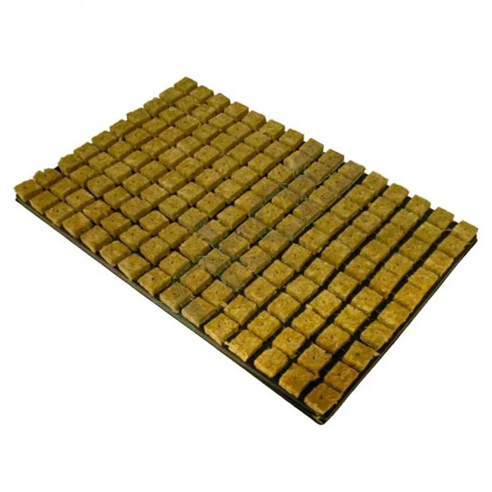 saltonverde2927357